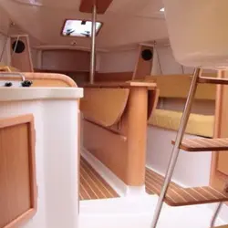 Maxus 33